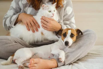 an image of Pet Companionship: How It Improves Wellness For Our Aging Loved Ones