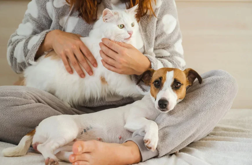 an image of Pet Companionship: How It Improves Wellness For Our Aging Loved Ones