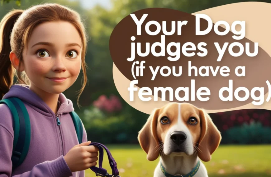 an image of Your Dog Judges You (If You Have A Female Dog)