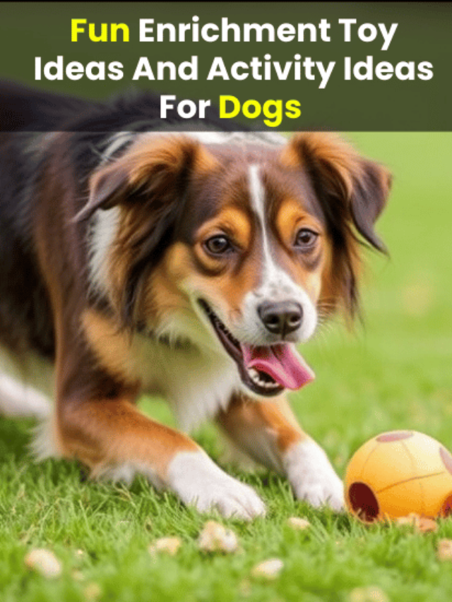 An image of Fun Enrichment Toy Ideas And Activity Ideas For Dogs