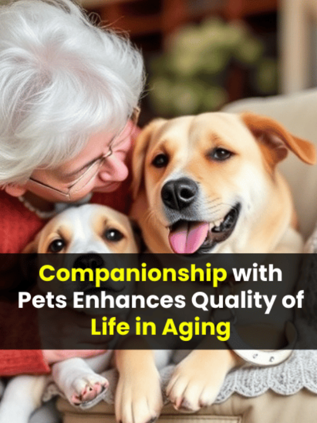 Pet Companionship: How It Improves Wellness For Our Aging Loved Ones