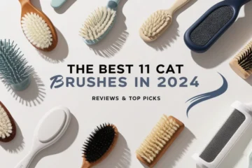 an image of The Best 11 Cat Brushes In 2024 Reviews & Top Picks