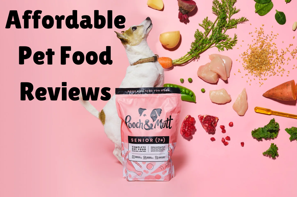 An image of Affordable Pet Food Reviews: Top Choices for Every Budget