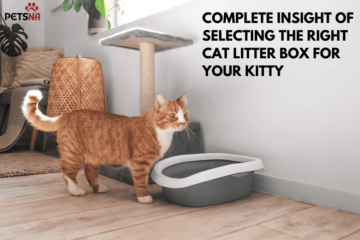 Complete Insight of Selecting the Right Cat Litter Box for Your Kitty