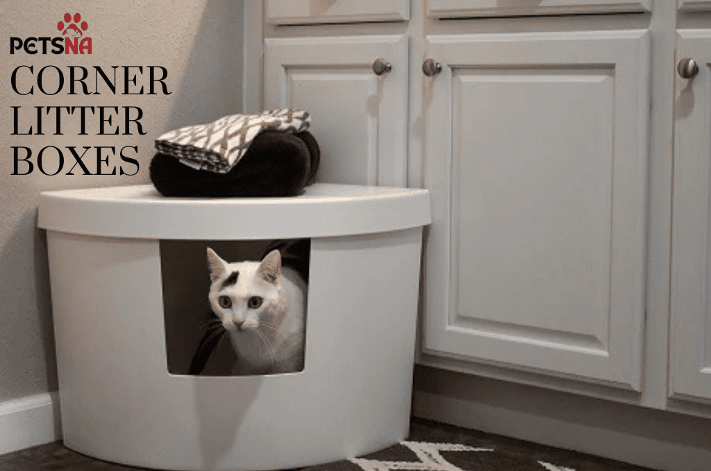 Corner Litter Boxes