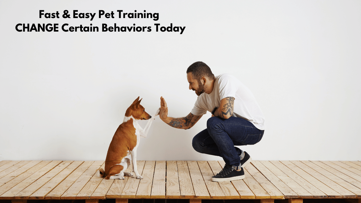 Fast & Easy Pet Training: CHANGE Certain Behaviors Today