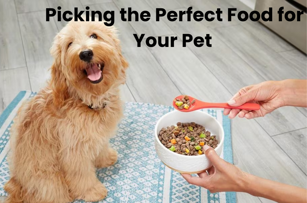 An image of Label-Savvy Pet Owners: Picking the Perfect Food for Your Pet