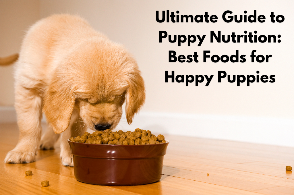 An image of Ultimate Guide to Puppy Nutrition: Best Foods for Happy Puppies