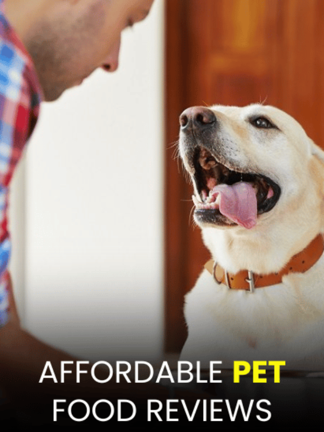 Affordable Pet Food Reviews: Top Choices for Every Budget