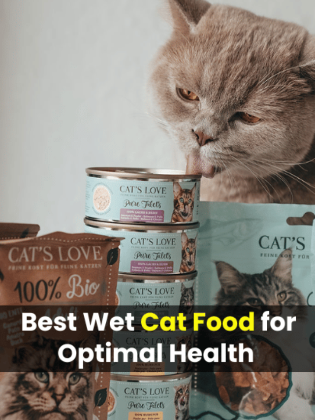 an image of Ultimate Review of the Best Wet Cat Food for Optimal Health