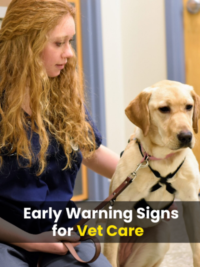 an image of Looking at Some Myths that Deny the Importance of 5 Early Warning Signs for Vet Care